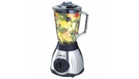 Salton Stainless Steel Elite Blender